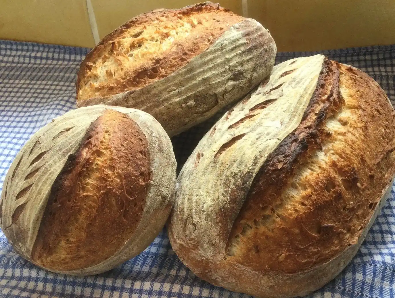 Loaves of fresh sourdough bread