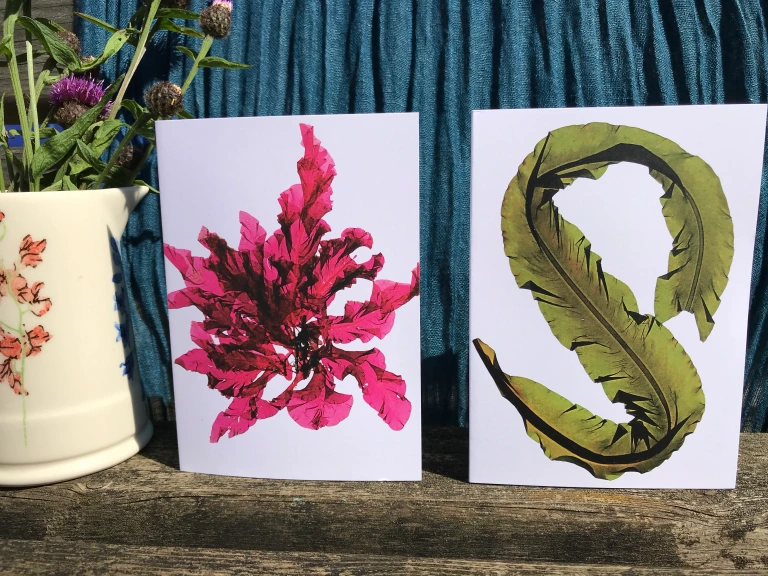 Seaweed-print greeting cards